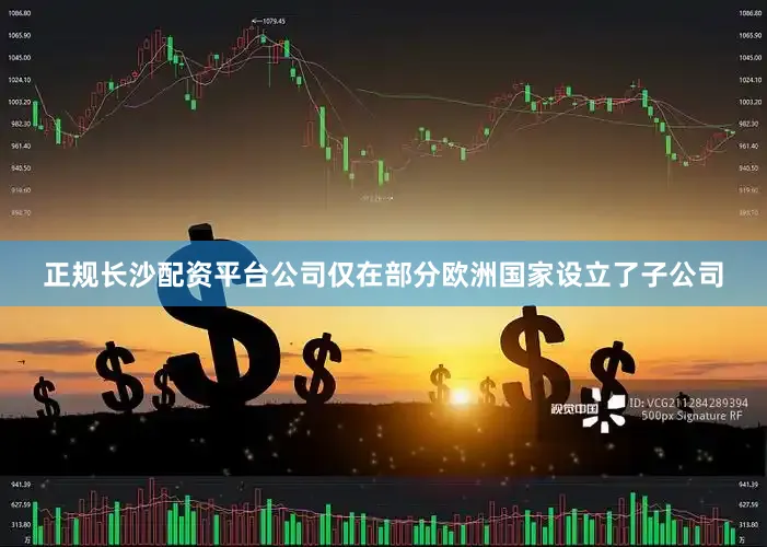 正规长沙配资平台公司仅在部分欧洲国家设立了子公司
