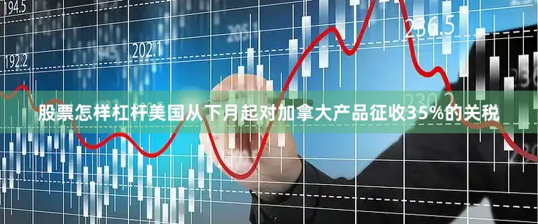 股票怎样杠杆美国从下月起对加拿大产品征收35%的关税