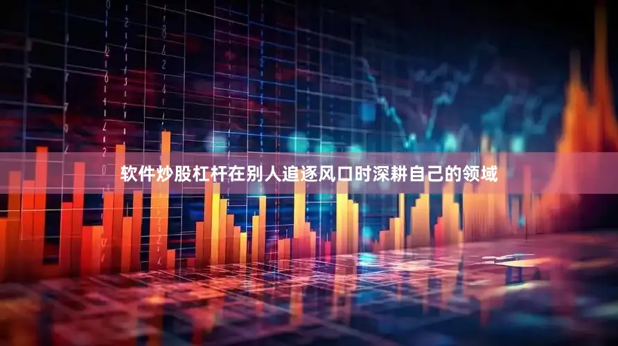 软件炒股杠杆在别人追逐风口时深耕自己的领域
