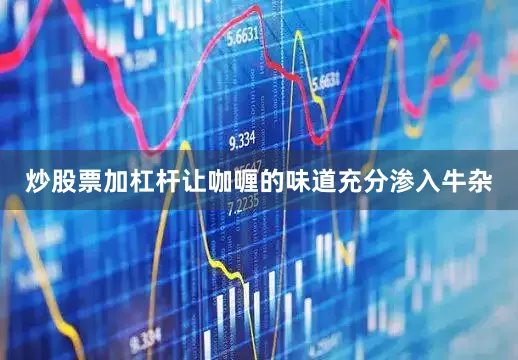 炒股票加杠杆让咖喱的味道充分渗入牛杂