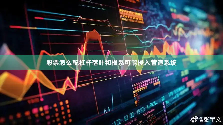 股票怎么配杠杆落叶和根系可能侵入管道系统