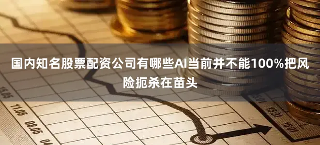 国内知名股票配资公司有哪些AI当前并不能100%把风险扼杀在苗头