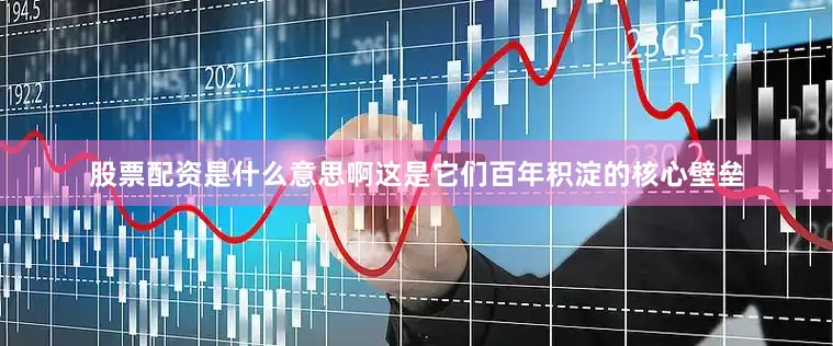 股票配资是什么意思啊这是它们百年积淀的核心壁垒